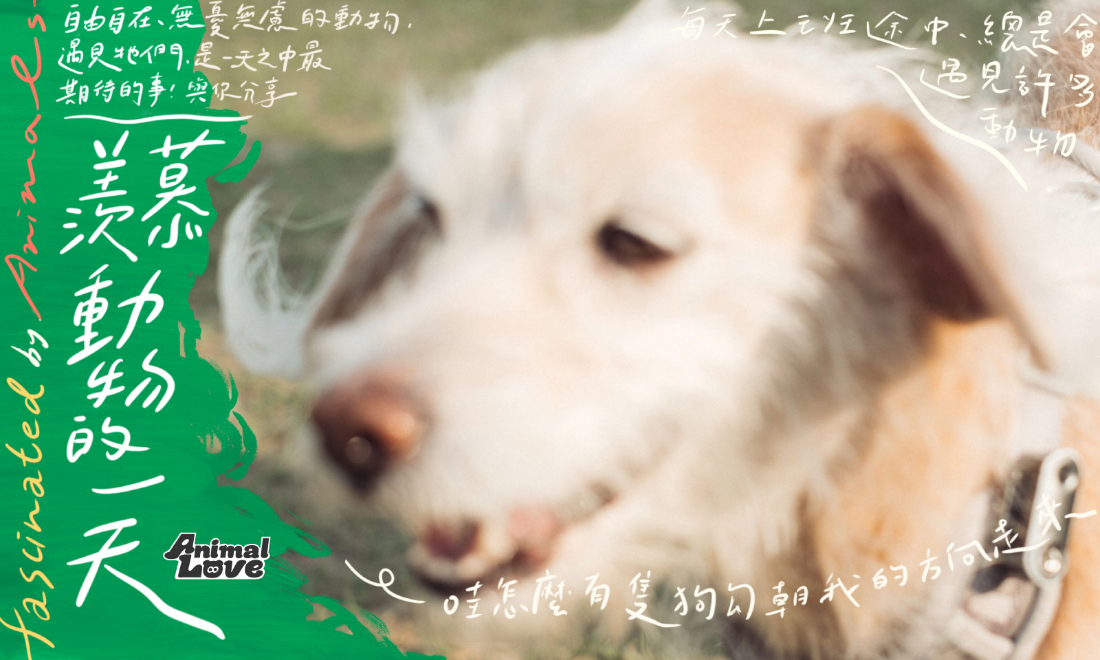 哎,今天,又是羨慕動物的一天