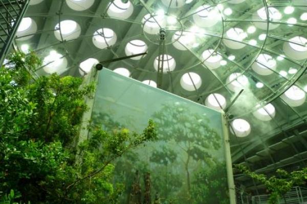 舊金山:浩劫重生與革新