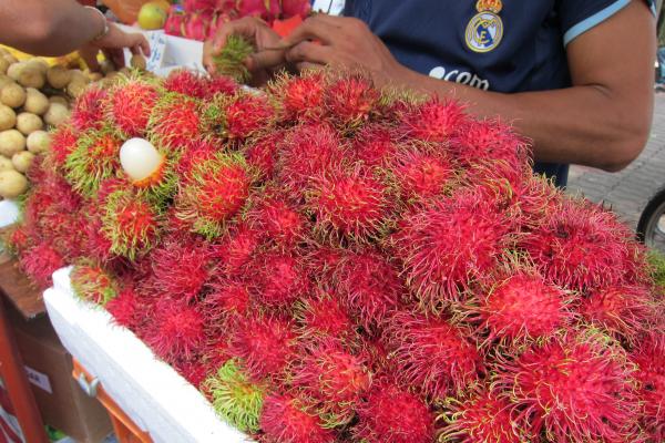 吉隆坡中央藝術坊(Pasar Seni):與印度小販交手