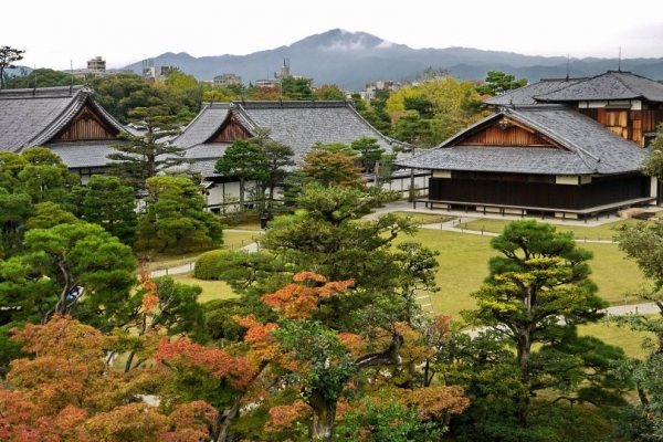 京都｜【霜月】遊二条城清流園享受秋日色調