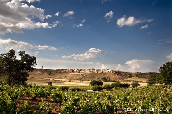 西班牙葡萄酒地圖（五）：卡斯蒂利亞．萊昂（Castilla - León）地區