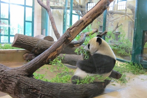 重返維也納：傷心動物園半日遊