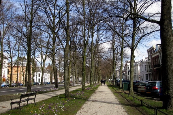 我的心遺留在 Utrecht