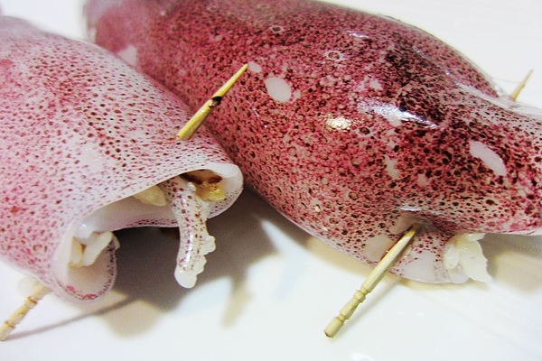 我真的沒有要教你分辨魷魚、透抽、章魚、烏賊、軟絲,與小卷
