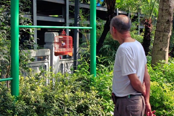 凝視香港｜如常而真摯，是許鞍華最好的風格