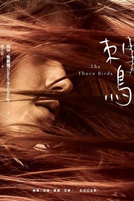 道德之前,先忠於人性──鍾文音新譯《刺鳥》