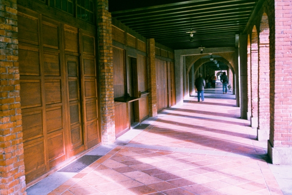 【生活構成要件】十一月：金馬五十──璀璨迴廊間的光與影