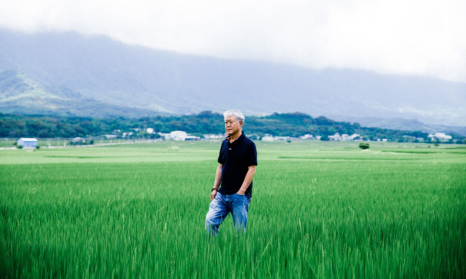 池上駐留｜
蔣勳畫池上，
一田一水反映內心澎湃風景
