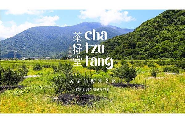 茶籽堂復耕 3000 棵苦茶樹,搶救消逝的百年文化