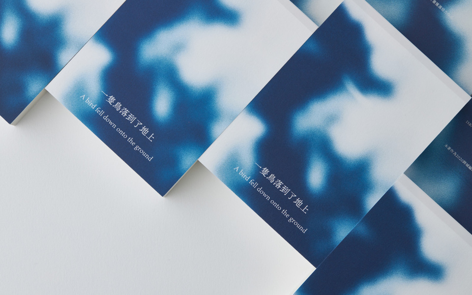 從印製到發行都成為藝術——翻閱《鳥落地後》,自生至死的輪迴