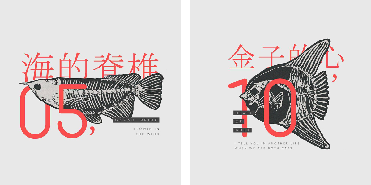 高妍 荒原之書