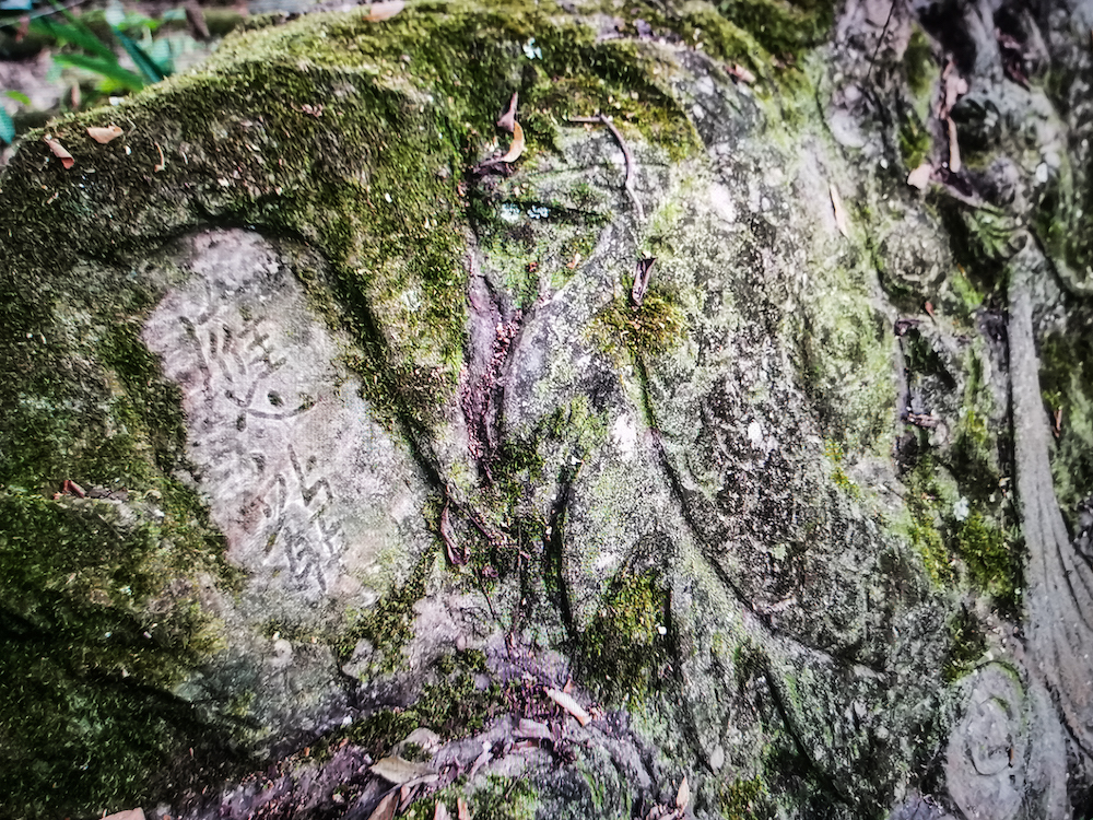 台灣聖山 汪正翔