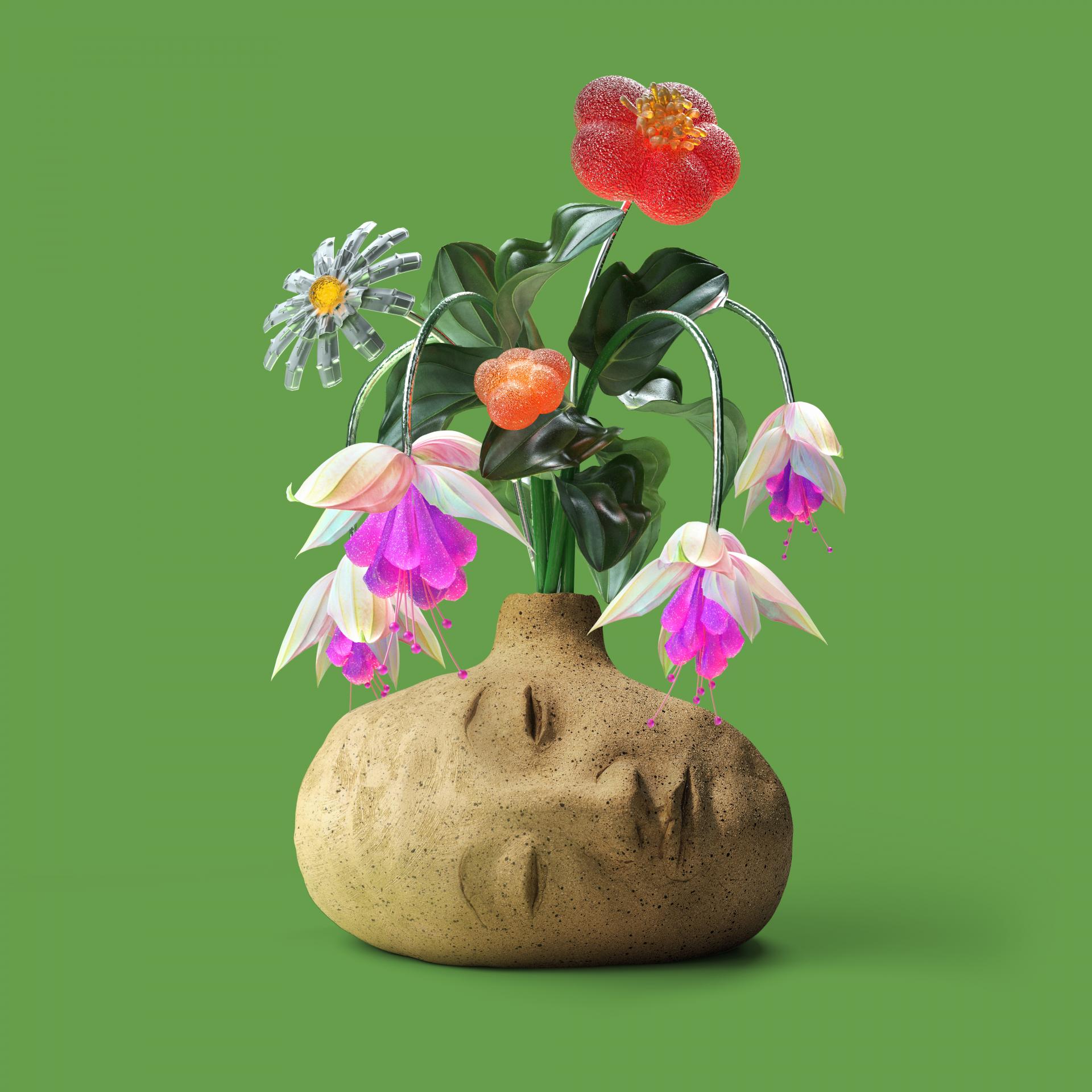 大象體操，夢境