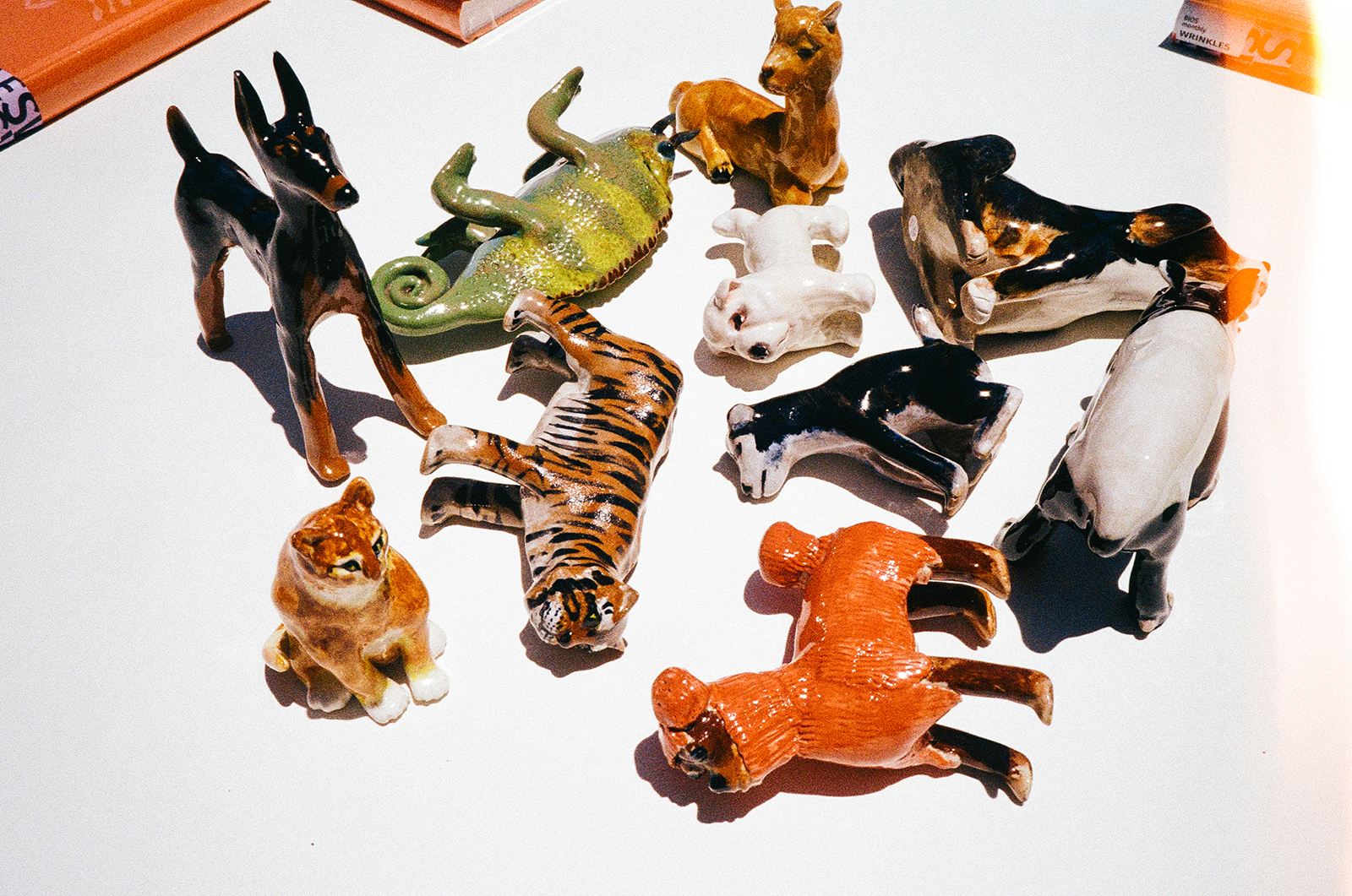 BIOS monthly 皺皺祭