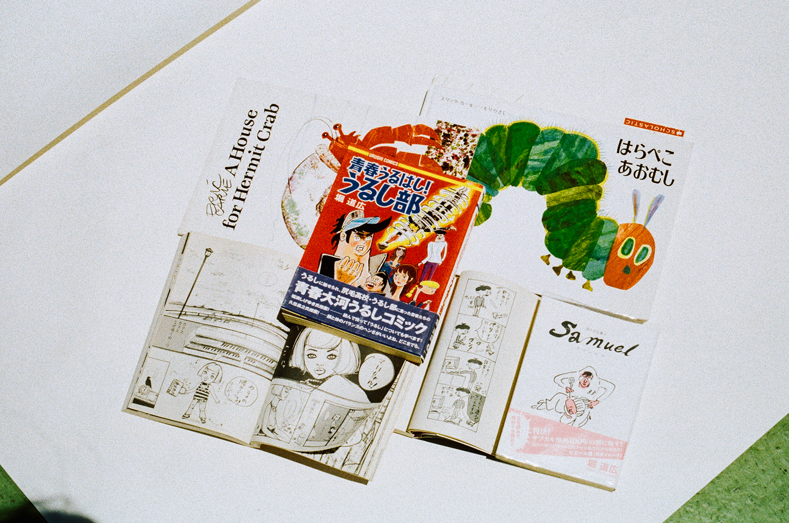 BIOS monthly 皺皺祭