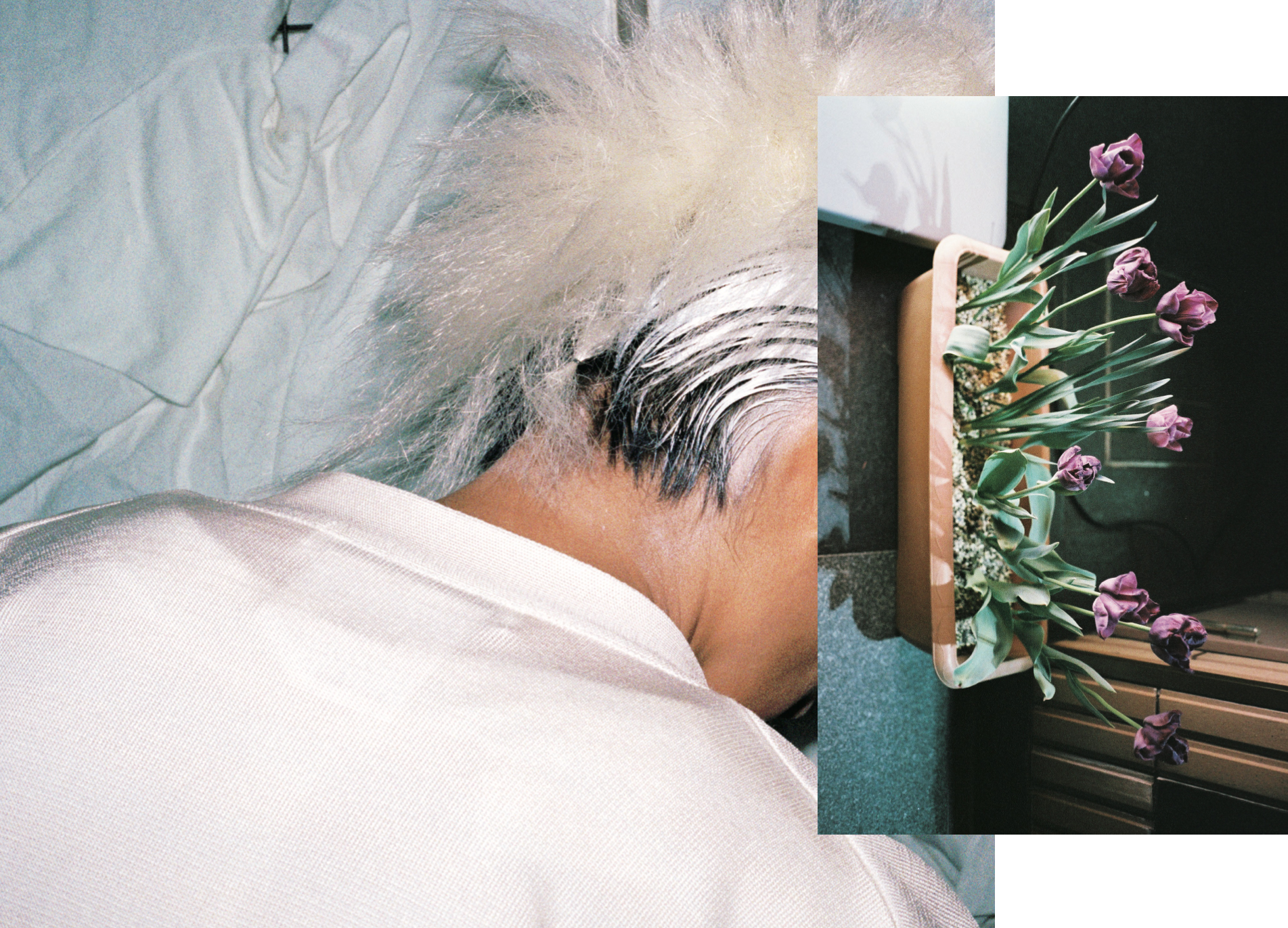 奧山由之 Yoshiyuki Okuyama