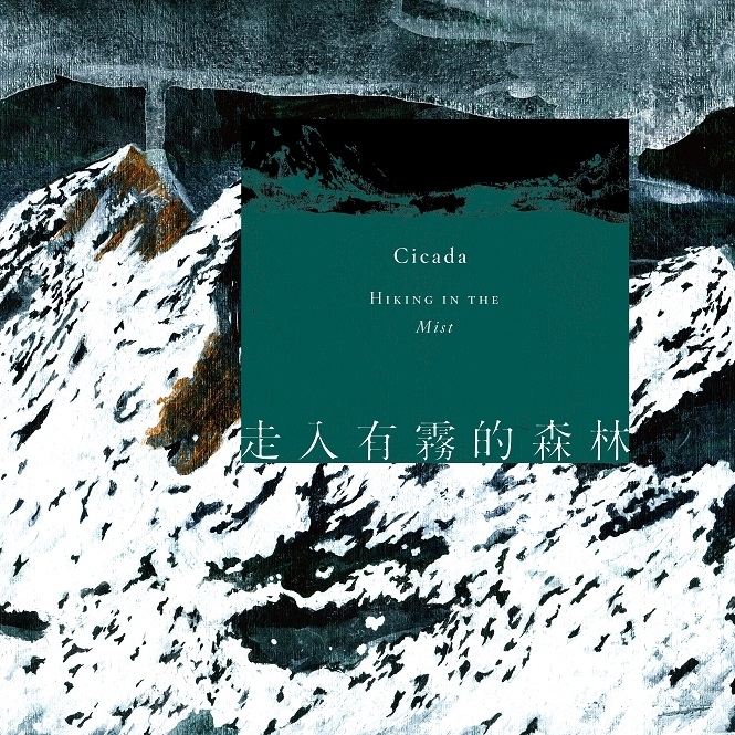 cicada