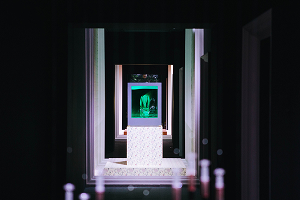 描述 : IMG_0321.jpg