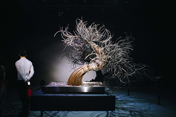 描述 : IMG_0329.jpg